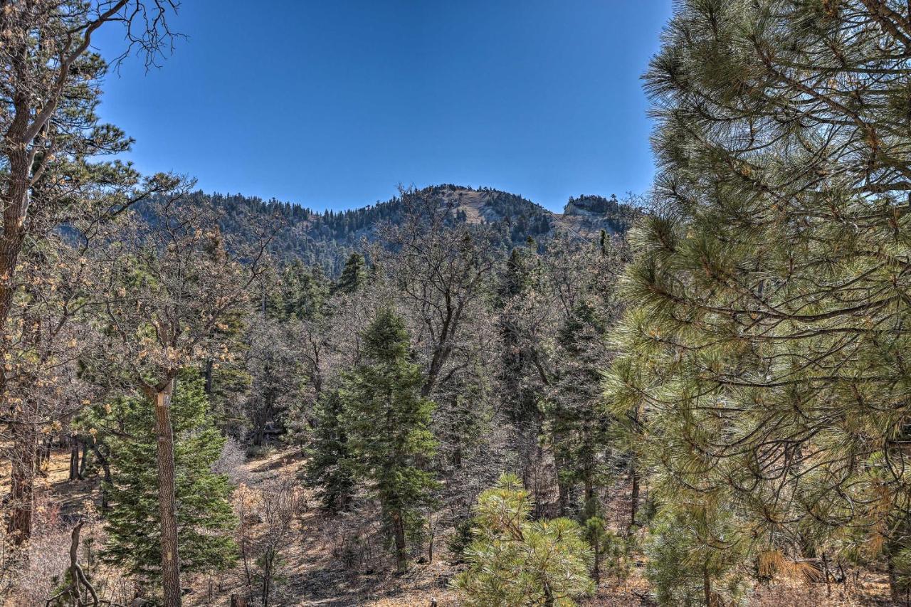 Chocolate Moose Cabin Short Walk To Slopes Big Bear Lake Exterior foto