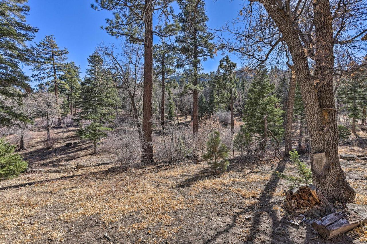 Chocolate Moose Cabin Short Walk To Slopes Big Bear Lake Exterior foto