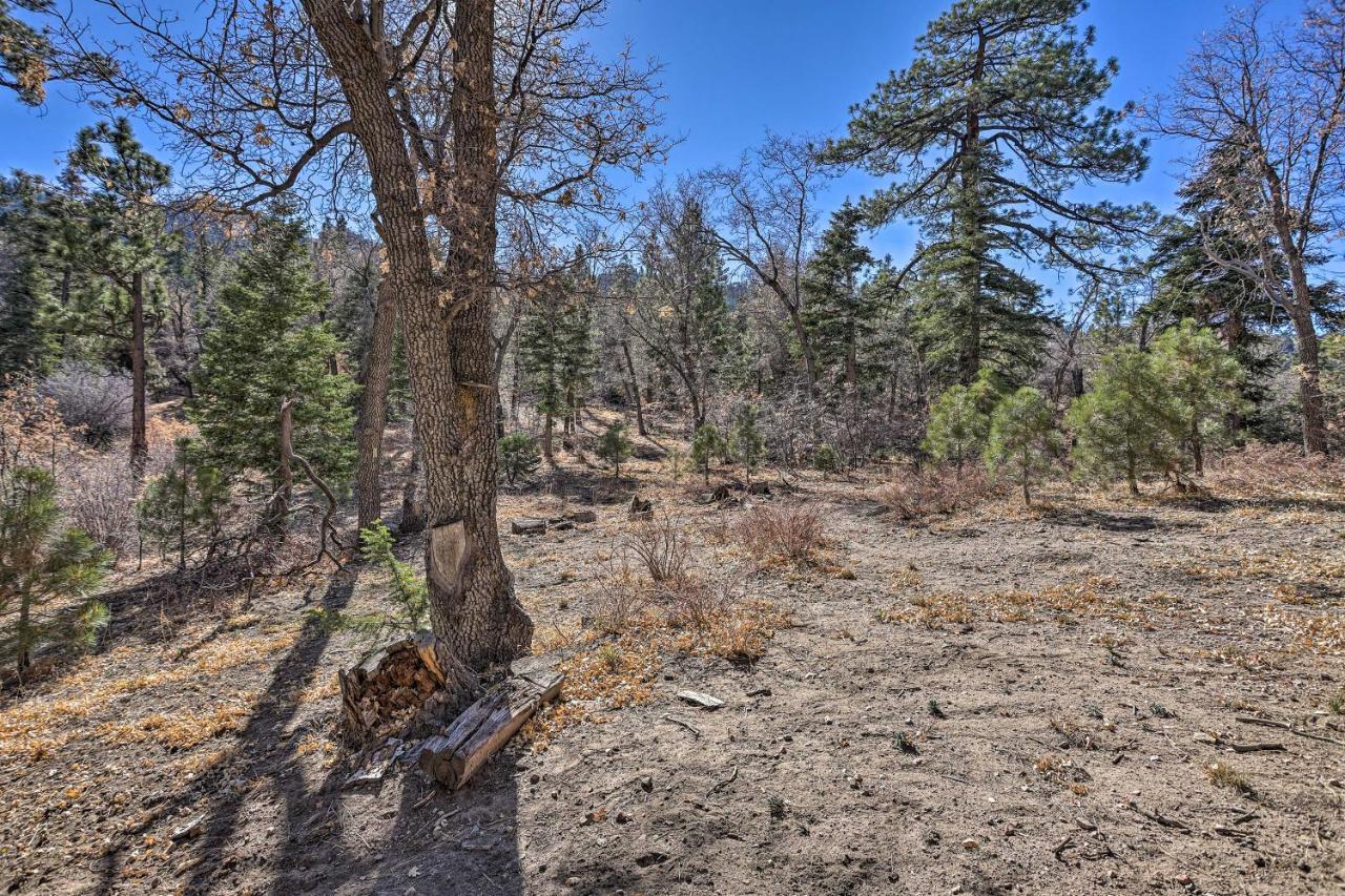 Chocolate Moose Cabin Short Walk To Slopes Big Bear Lake Exterior foto